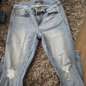 Torrid premium stretch jeans 12